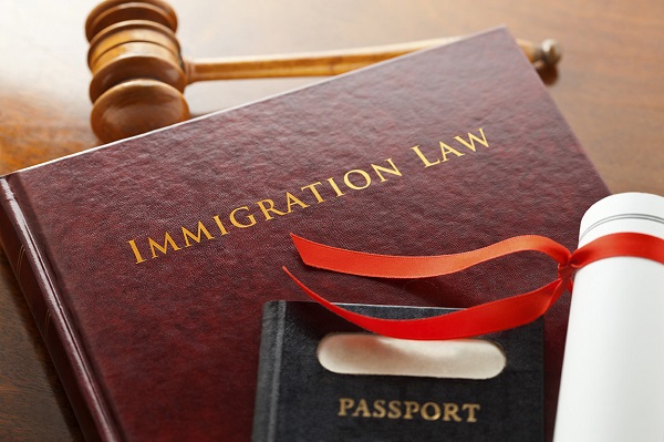 Image result for immigration attorney