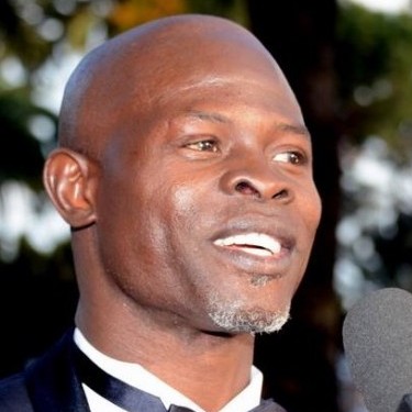 Djimon Hounsou, Beninese American immigrant