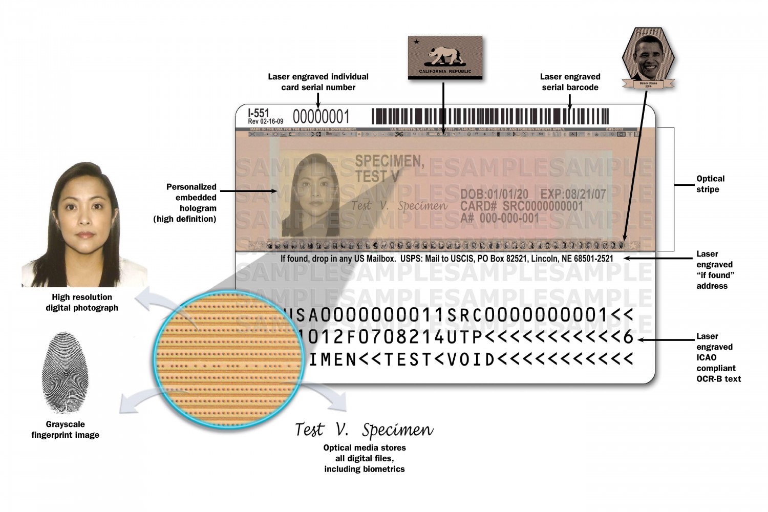 How to Read a Green Card - Front and Back | CitizenPath