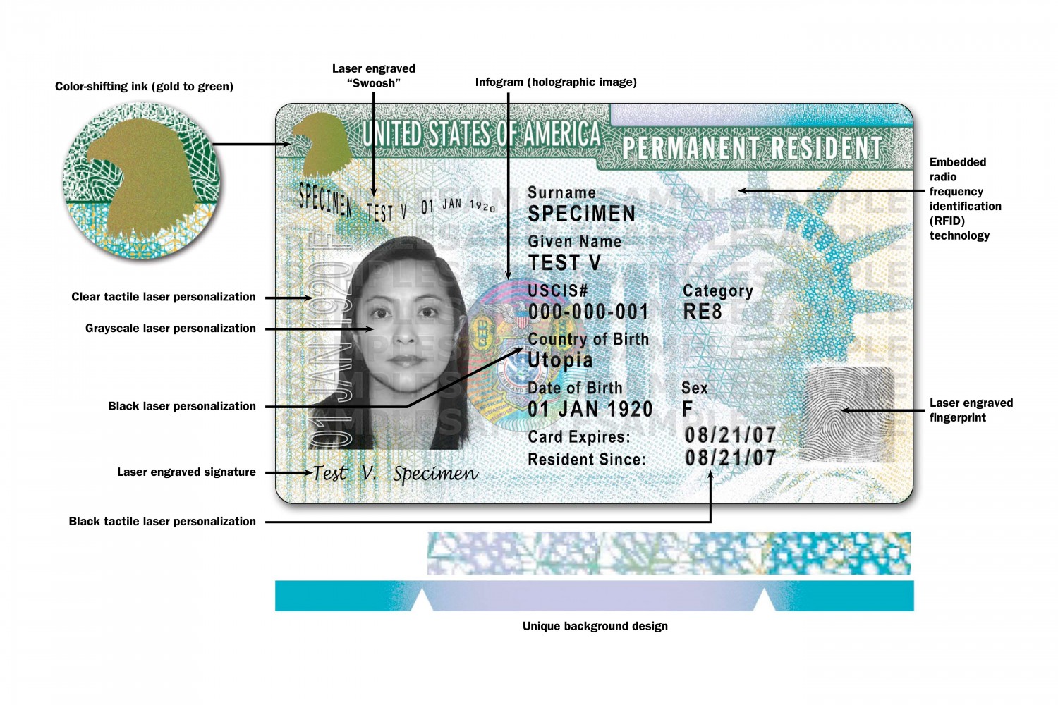 How to Read a Green Card - Front and Back | CitizenPath