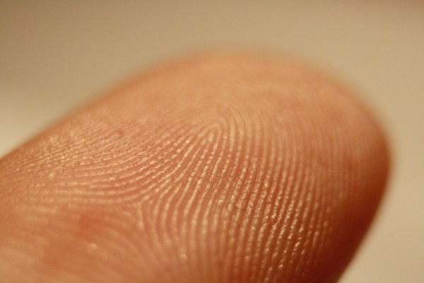 fingerprint to be used as part of a criminal background check