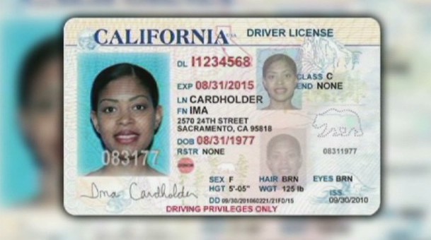 renew ca drivers license