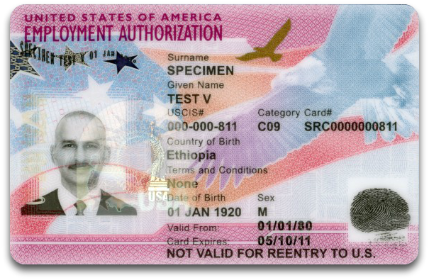 Employment Authorization Document (Form I-766) | CitizenPath
