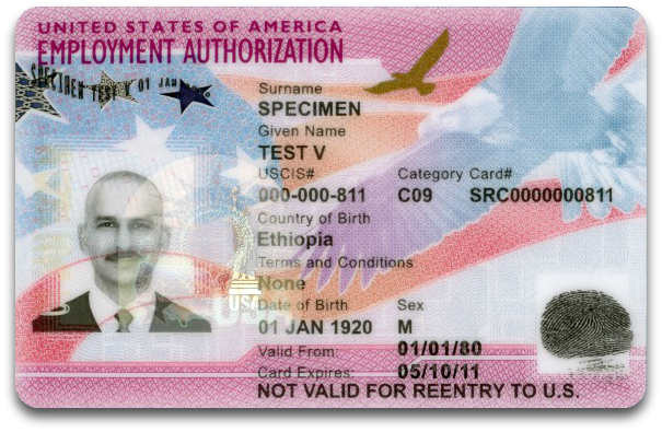 security i-765 social card After Processing  I 821D Time DACA Filing Happens  What