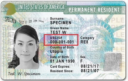 Find Alien Registration Number on Green Card