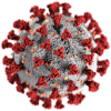 public charge rule and coronavirus