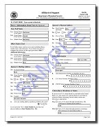 Form I-134, Explained - Declaration of Financial Support