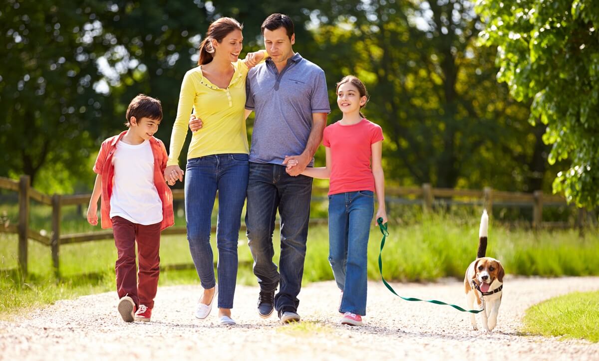 Family walks with dog, no troubles with I-134 instructions