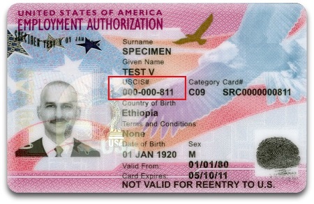 Where can I find my Alien Registration Number? | CitizenPath