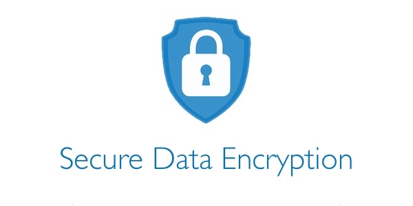 secure data on forms